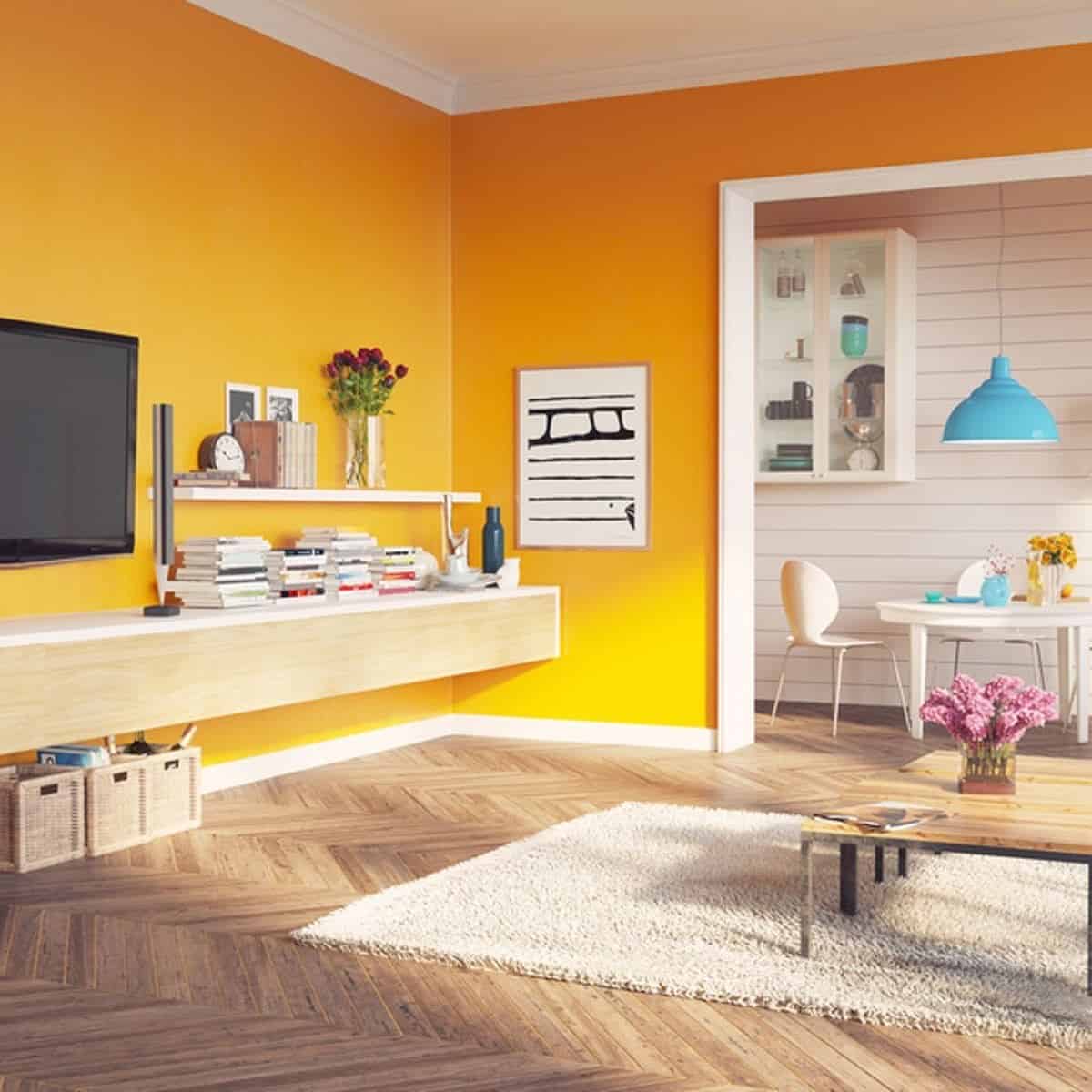 Warna Cat Ruang Tamu Orange